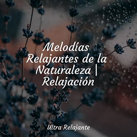 Melod As Relajantes De La Naturaleza Relajaci N De Musica Relajante