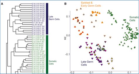 Rna Sequencing Provides New Insights Into Infertility Causing Sex Chromosome Disorders Rna Seq