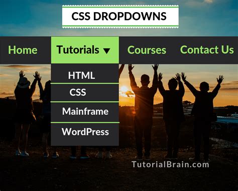 Dropdown Menu CSS — TutorialBrain