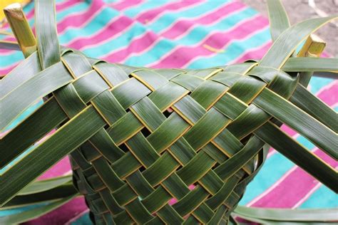 Coconut Palm Weaving Tutorial Rosalindentree Coconut Palm Weaving