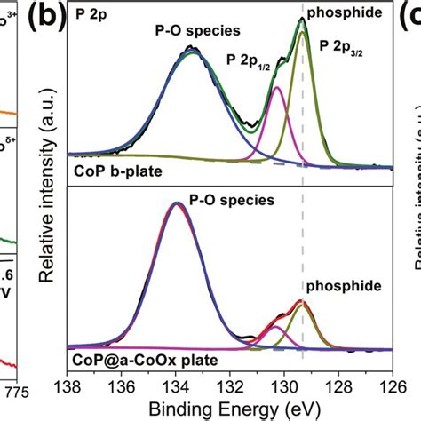 A Polarization Curves Of The CoP A CoOx Plate C CoP A CoOx Plate C