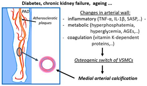 Ijms Free Full Text Inflammatory Metabolic And Coagulation