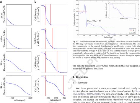 Cell Density Profiles Both Columns Depict The Temporal Evolution Of