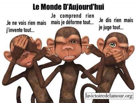 Épinglé par MART HUCHET sur Les 3 singes Pensée du jour humour