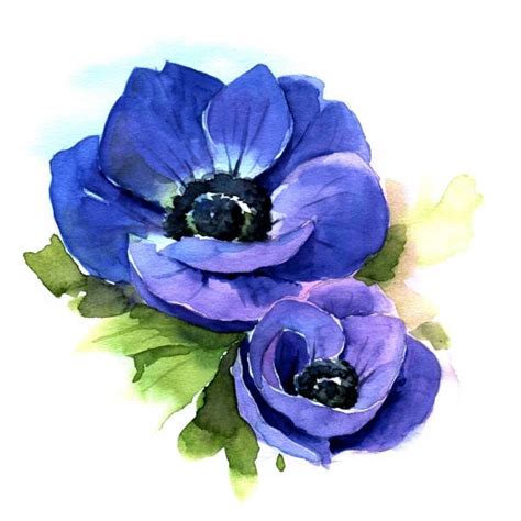 Anemone Flower Clip Art Vector Images And Illustrations Istock