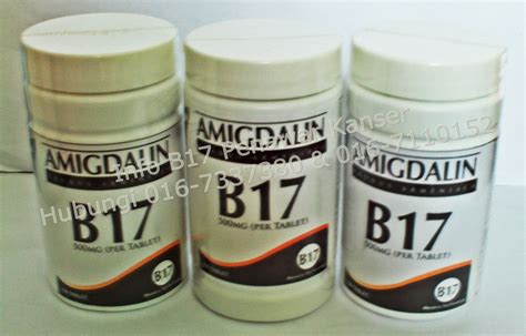 InfoKanserPayudara: Amygdalin 500mg