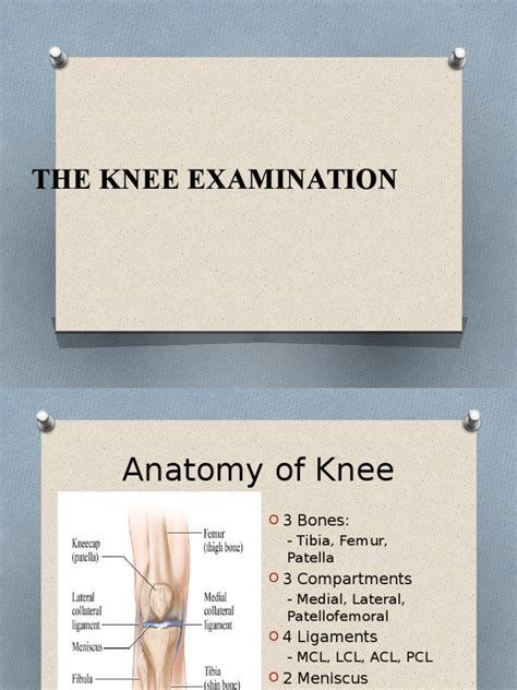 Knee Examination Knee Dance Science