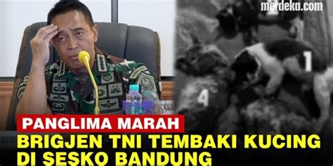 VIDEO Panglima Andika Marah Brigjen NA Tega Tembaki Kucing Di Sesko