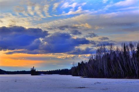 Free Images Tree Nature Branch Snow Cold Light Cloud Sky Sun