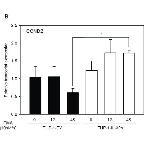 IL 32α is a potent inhibitor of the transcriptional repressor BCL6