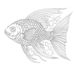 Rainbow Fish Printable Coloring Page Coloring Pages Mimi Panda