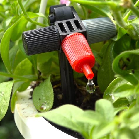 Micro Drip Irrigation Kit With 4 Zone Valve Control Eden Garden