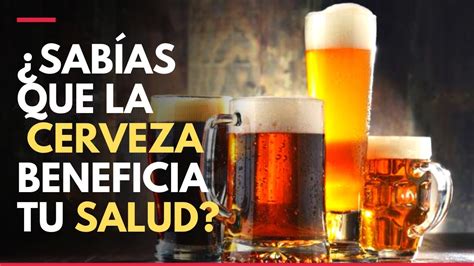 La Cerveza Tiene Beneficios Para La Salud Es Antioxidante Aporta