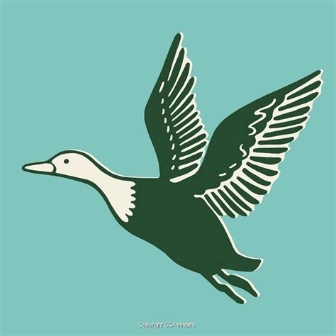 Goose Illustrations Unique Modern And Vintage Style Stock