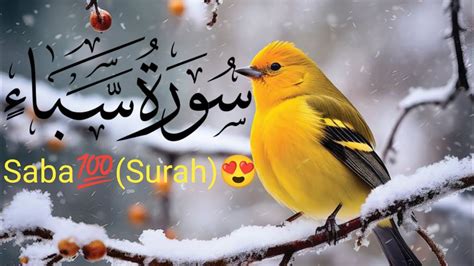 Suraj Sada Quran Majeed Ki Tilawat Khubsurat Awaaz Mein Aap Bhi Sune