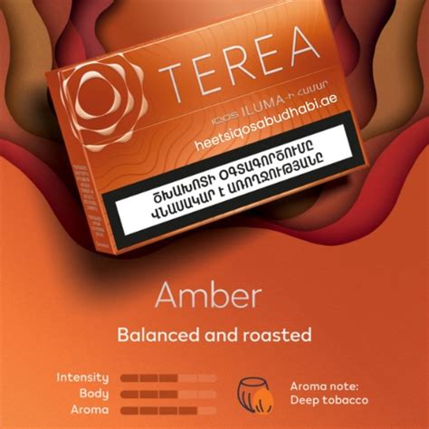 Buy Online Heets Terea Amber from Armenia @ Price 145 AED