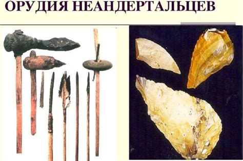 Неандертальцы - кем они были и почему исчезли?- e-rudit.ru
