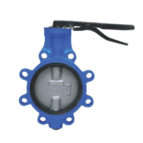 Ci Cast Iron Butterfly Valve Pn Ss Disc Wafer Type Leader