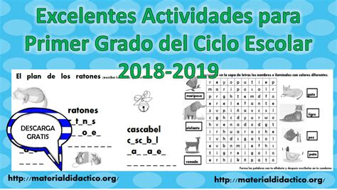 Excelentes Actividades Para Primer Grado Del Ciclo Escolar