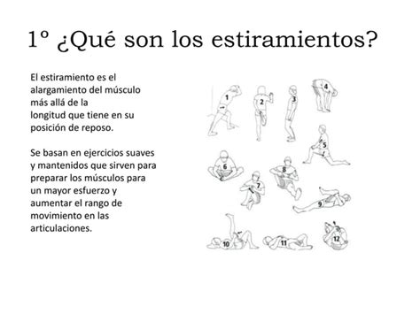 Estiramientos Musculares Ppt