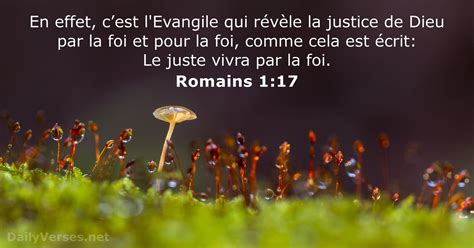 Romains 1 17 Verset De La Bible DailyVerses Net