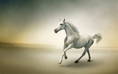 50 Horse Screensavers And Wallpaper