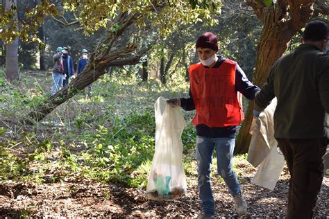 Via Gomenizza Ama E Caschi Verdi Bonificano Il Giardino Accanto All