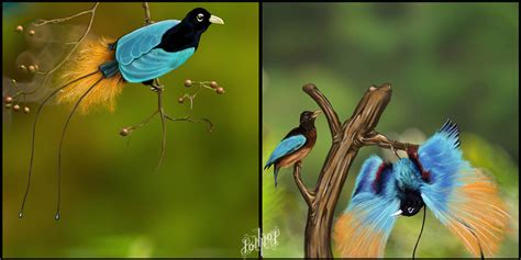 Blue Bird of Paradise by pop-ipop on DeviantArt