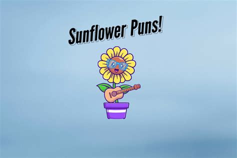 50 Funny Sunflower Puns And Jokes That Petal The Metal Agatton