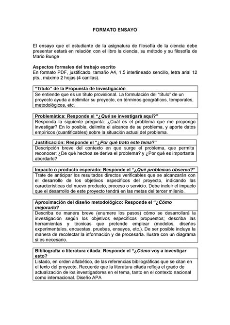 Formato Ensayo Académico Formato Ensayo El Ensayo Que El Estudiante