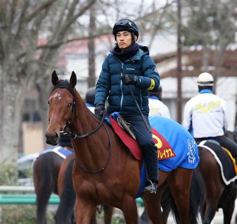 国枝師、21年の夢は牝馬で悲願のダービー制覇？ 極ウマ・プレミアム