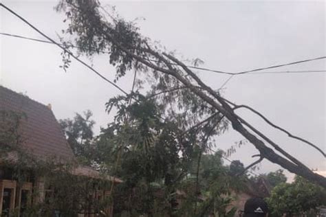 Hujan Dan Puting Beliung Landa Ngawi 15 Rumah Di 2 Desa Rusak