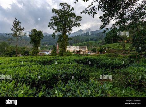View Of Avt Estate Tea Factory Nestled In A Beautiful Landscape