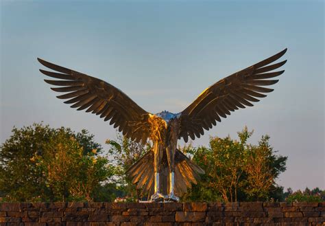 Metal Bird Sculptures, public art, corporate, residential facilities