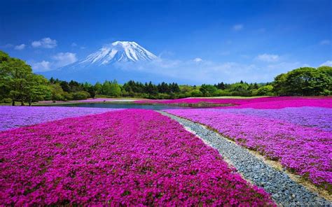 Japanese Landscape Wallpapers 4k Hd Japanese Landscape Backgrounds