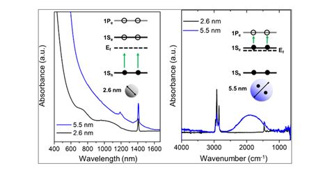 Origin Of Intraband Optical Transitions In Ag2Se Colloidal Quantum Dots