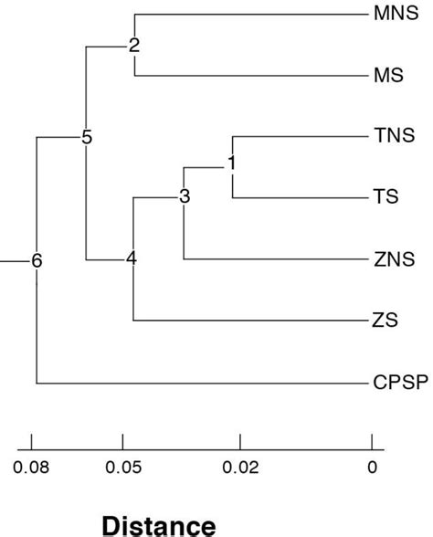 Unweighted Pair Group Method Of Arithmetic Mean Upgma Dendrogram