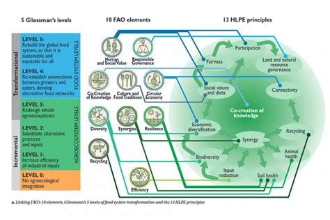 Agroecology TRANSECT