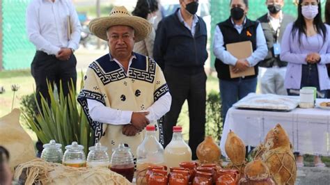 Realizan Feria Del Tapete Y Pulque En Temoaya