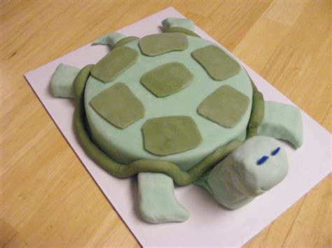 Turtle Cake