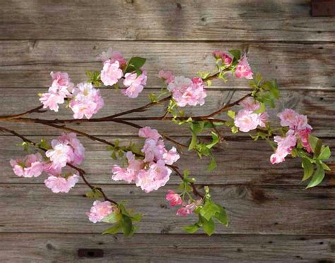 Abbellire Casa Con I Fiori Finti