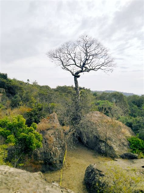 O Que São Fontes De Energia Não-renováveis Cite Alguns Exemplos