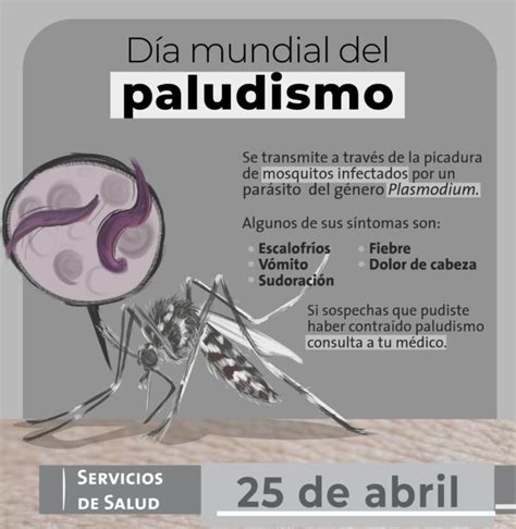 D A Mundial Del Paludismo Pld Al Dia