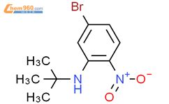 5 Bromo N Tert Butyl 2 Nitroaniline 5 Bromo N Tert Butyl 2 Nitroaniline