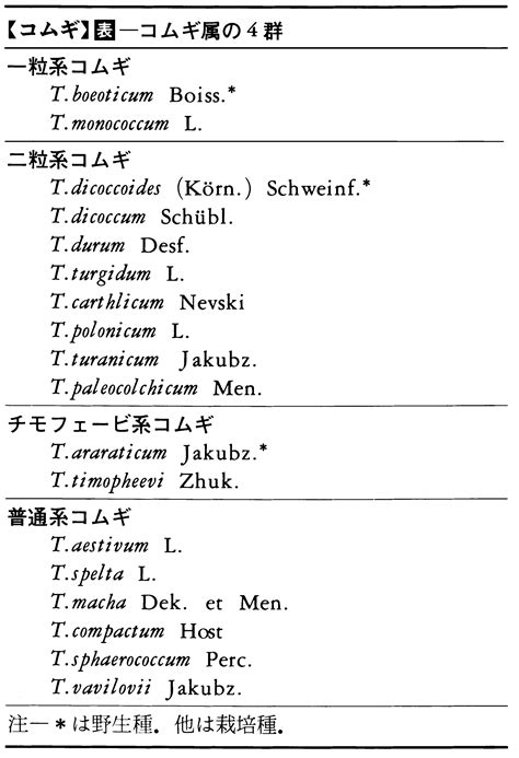 コムギとは？ 意味や使い方 コトバンク