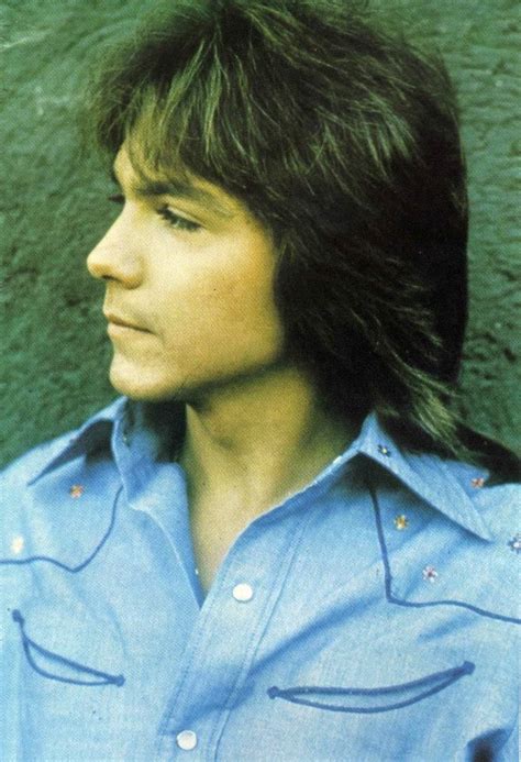 Classify American Actorsinger David Cassidy