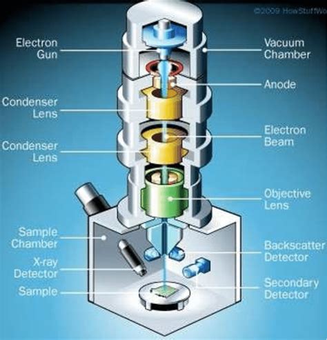 10 Schematic Representation Of Scanning Electron Microscope [119] Download Scientific Diagram