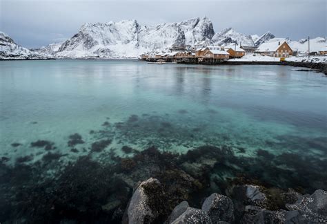 黄色い家の建つSakrisøyノルウェー ノルウェーロフォーテン諸島