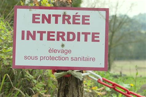 Grippe aviaire deux syndicats agricoles demandent l arrêt des