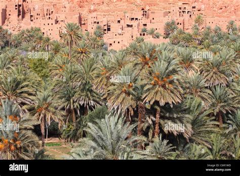 Oasis in Morocco Stock Photo - Alamy